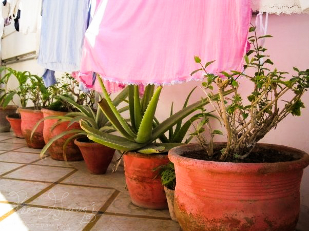 2104_509332192574_408_n