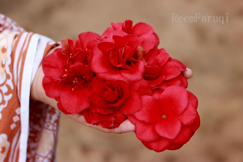 428317_305077862889250_299276638_n