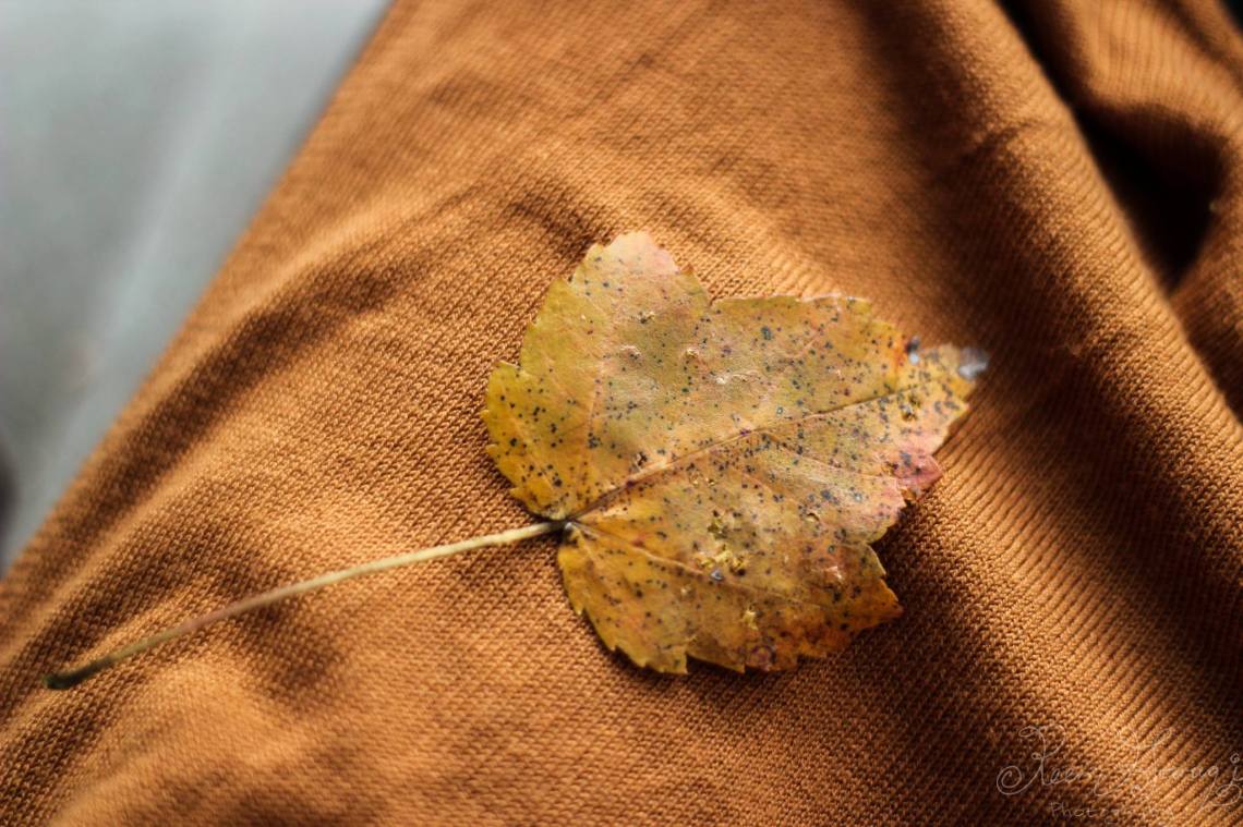 12304182_994095530654143_1404032845239026135_o